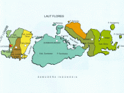 Bertambah 54 Pasien Positif COVID-19 di NTB