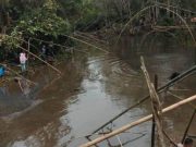 BUDAYA MASYARAKAT DESA SETIRIS, TRADISI BEKARANG IKAN DI LUBUK BELANGO