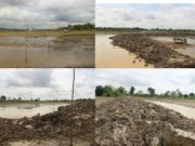 DIDUGA ULAH PERUSAHAAN STOCKFILE BATU BARA, SEHINGGA PETANI GAPOKTAN KUNANGAN MERUGI