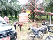 Jika Tak Laksanakan Paksaan Pemerintah, Izin PT. Kaswari Unggul Terancam Dibekukan