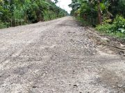 Jalan Di Bangun, Kades Koto Kandis Dendang “Hasanudin” Ucapkan Terima kasih Kepada Pemkab Tanjabtim