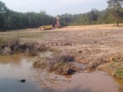 GALIAN C DI PT. PMG DIDUGA ILEGAL, ASISTEN KEBUN CUMA BERALASAN