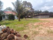 DIDUGA ADA UNSUR PEMERASAN TENAGA PEKERJA DI KEBUN SAWIT MPG