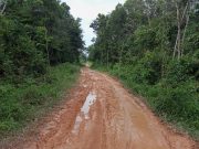 JALAN PERTANIAN RUSAK BERAT, HINGGA SAAT INI DIDUGA BELUM PERNAH TERSENTUH REHAB