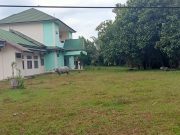 LOKASI BELAKANG GEDUNG PKK JADI TEMPAT TERNAK KERBAU