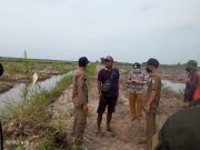 Cemari Sungai Alam Simpang Kiri, Dan Gunakan Alat Berat Buka Lahan Yang Belum Jelas Statusnya, Kegiatan Dihentikan Oleh Satpol PP Dan Kepala Desa