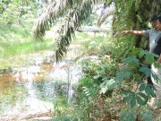 Sirkulasi Air Tidak Lancar, Warga Harapan Makmur Keluhkan Tiga Tahun Parit / Primer Tidak Tersentuh Tebas Bayang