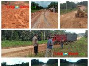 PT. Gemareksa Mekarsari Di Lamandau Kalteng, Galang Kebersamaan Perbaiki Infrastruktur