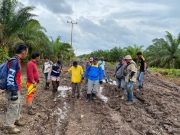 Dinas PUPR Tanjab Timur Turun Kelokasi Cek Kondisi Jalan Yang Hancur Di Kecamatan Sadu