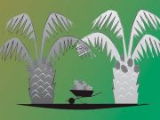 Bapak Laporkan Anak Kandung Di Polres Kotim Penggelapan Surat Kebun Sawit Di Duga Ilegal Rugikan Negara Puluhan Milyar