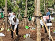 Gerakan Menanam Pohon Seruan Presiden Jokowi Bertepatan Musim Hujan