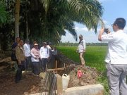 Kadis TPH Tanjab Timur, Pabung 0419 Dampingi Satf Ahli Kementan RI Tinjau Pembangunan optimalisasi lahan Sawah