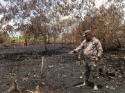 Adanya Aktivitas Seismic, Kebakaran HLG Lembaga RLH Meminta Penegak Hukum Profesional