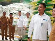 Wabup Robby Nahliyansyah Kroscek Kualitas Beras Gudang Bulog di Tanjab Barat