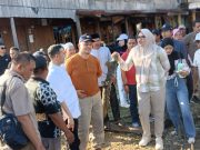 Bupati dan Wabup Tanjab Timur Tinjau Jembatan Desa Lambur Luar dan Kota Harapan