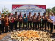 Dukung Swasembada Pangan Nasional, Gugus Tugas Polres dan Pemkab Tanjab Timur Laksanakan Panen Raya Jagung Serentak Bersama Presiden RI