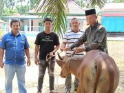 Peduli Sesama “Di Hari Raya Idul Adha 1446 H/2025 M.Melui Humas Indra” PT.Palma Gemilang Kencana (PGK) Berbagi Daging Qurban Sapi Sebanyak 2 Ekor
