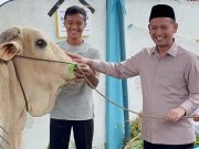 Wabup Muslimin Tanja Wakili Presiden Prabowo Serahkan Sapi Qurban untuk Warga