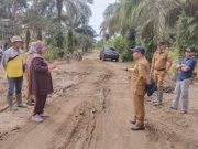 Dinas PUPR Melalui UPTD Alkal Kabupaten Tanjabtim Mulai Diperbaiki Jalan, Fokus Pemeliharaan Spot Rusak