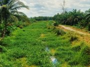 Masyarakat Rantau Karya Tagih Janji Normalisasi Kanal dari CSR PT WKS